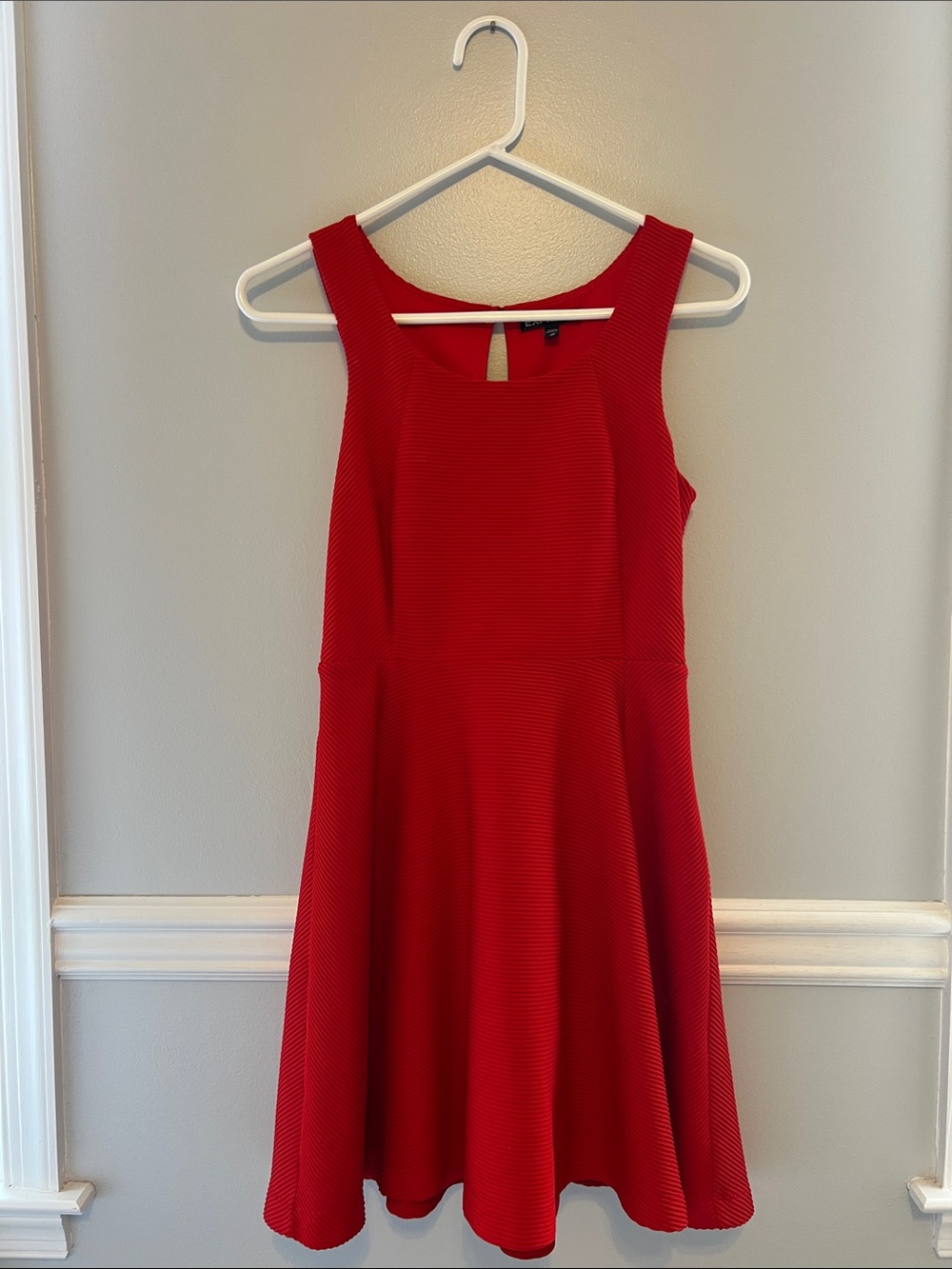 Express Red Sleeveless Fit & Flare Mini Dress